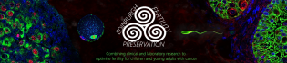 Fertility banner image with symbol