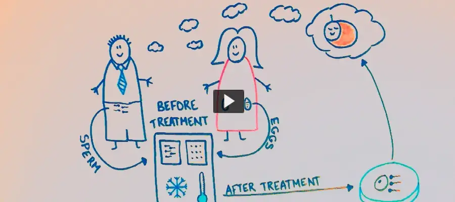 drawn diagram of what can be done to preserve fertility