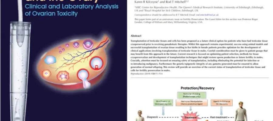 test tube and diagrams with abstract