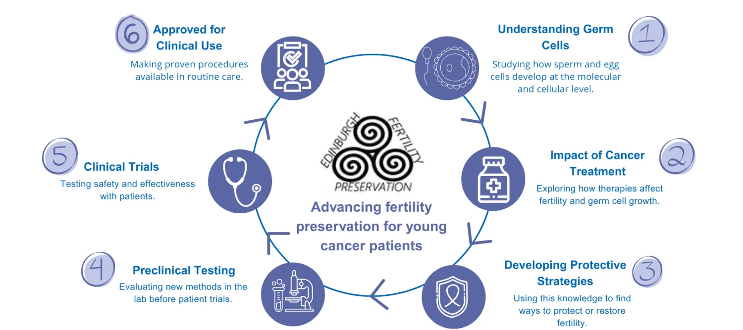 cyclical infographic of EFP's research pathway (all information in body text)