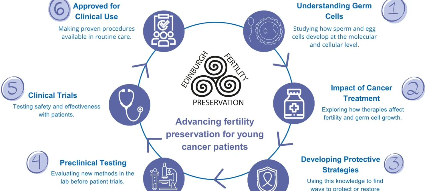 cyclical infographic of EFP's research pathway (all information in body text)
