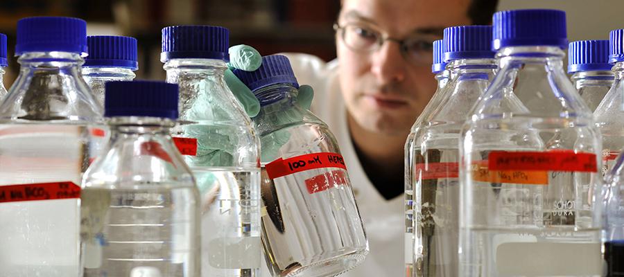 Research Scientists
