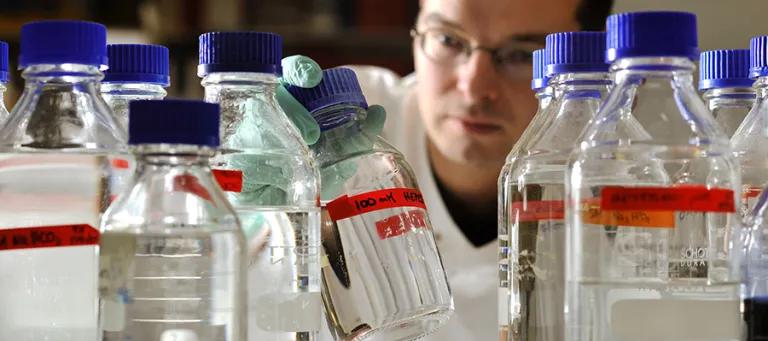 Research Scientists