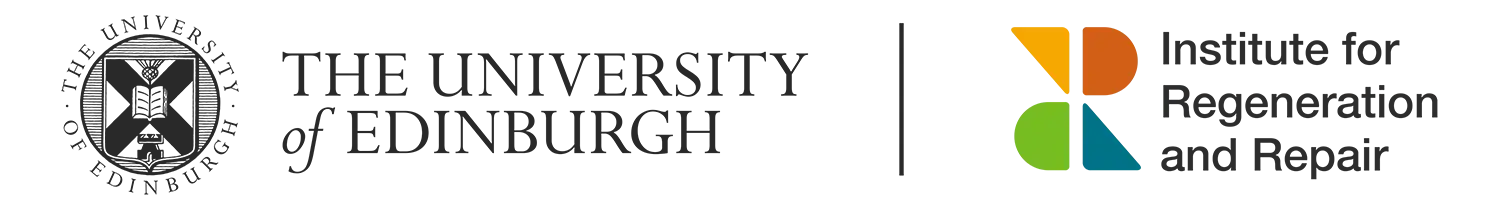 IRR Logo