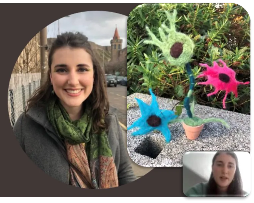 Niamh McNamara (PhD)