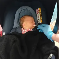 Baby having a saliva sample taken