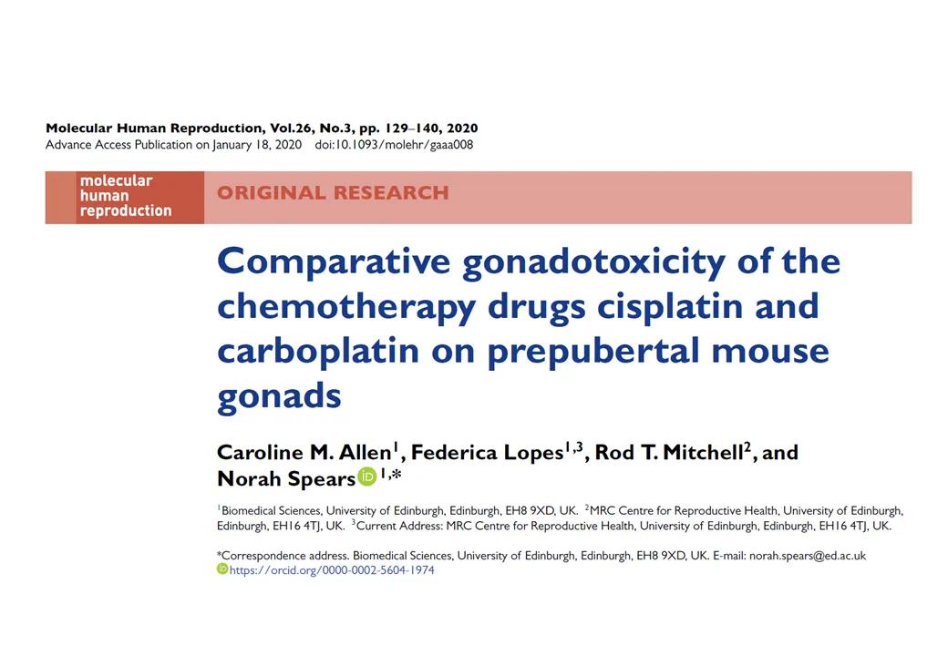 Comparative gonadotoxicity of the chemotherapy drugs cisplatin and carboplatin on prepubertal mouse gonads paper