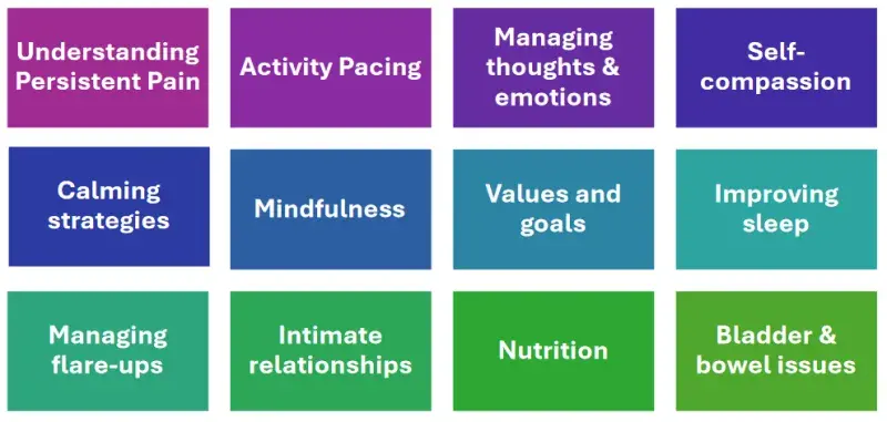 Understanding persistant pain, activity pacing, managing thoughts and emotions, self-compassion, calming strategies, mindfulness, values and goals, improving sleep, managing flare-ups, intimate relationships, nutrition, bladder and bowel issues