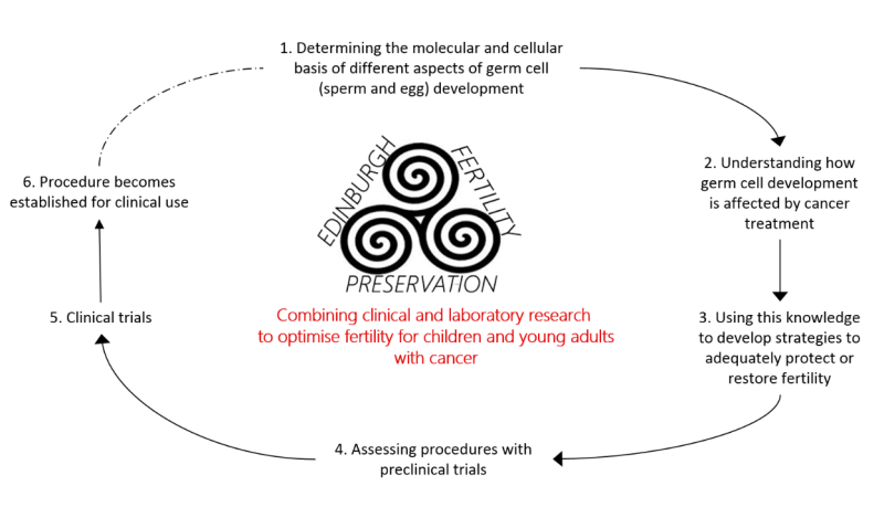 Steps of the progression of research at EFP