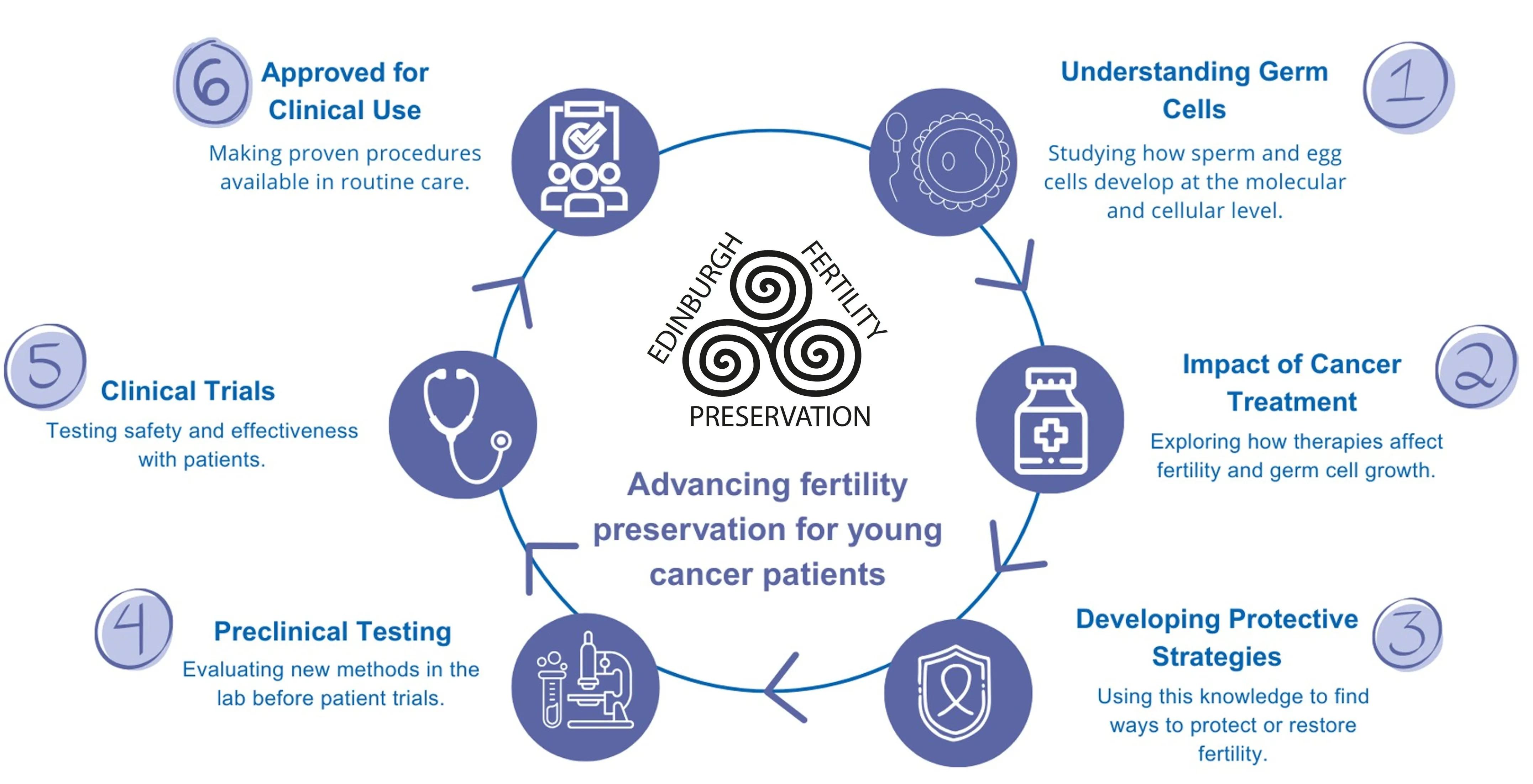 cyclical infographic of EFP's research pathway (all information in body text)