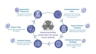 cyclical infographic of EFP's research pathway (all information in body text)