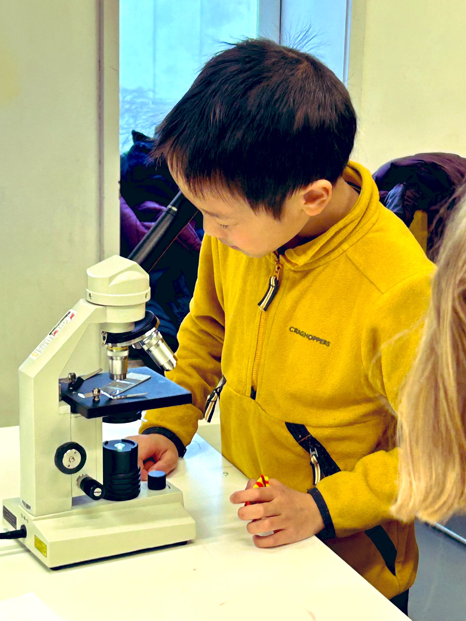 A child looks through a microscope