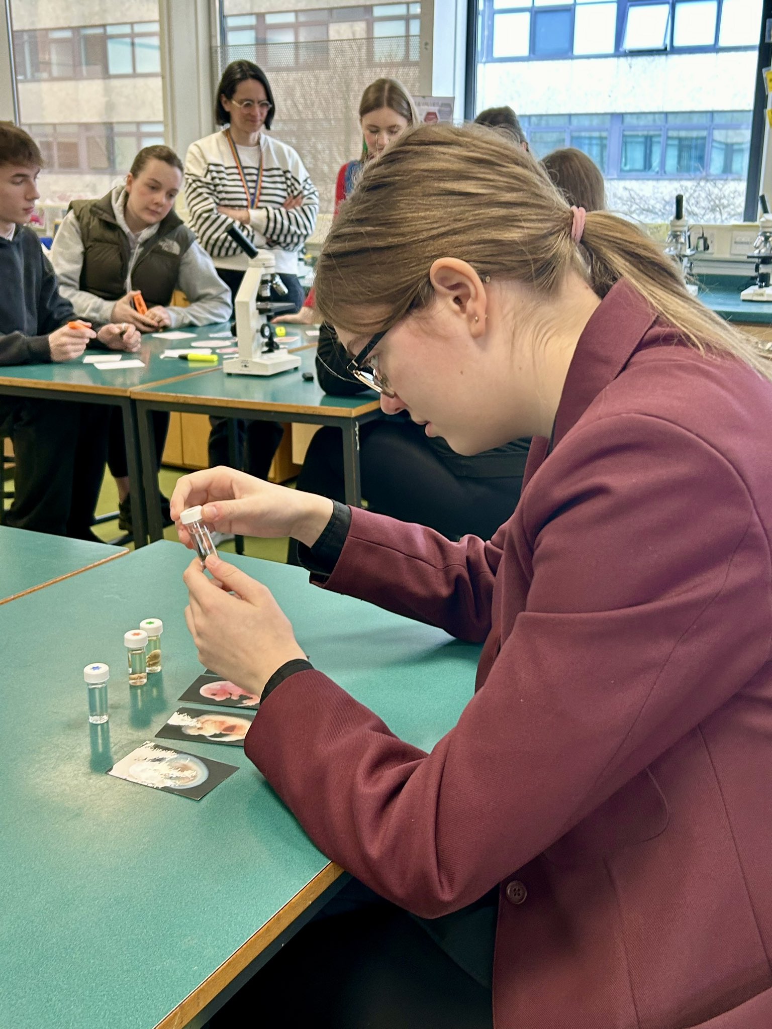 Students engaged in a classroom activity