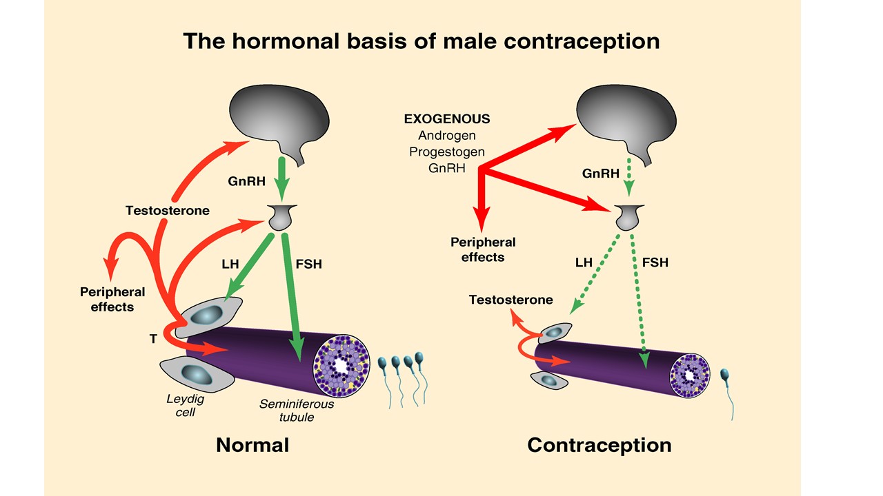 Graphic of Research Aim 2